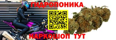 стаф Ливны