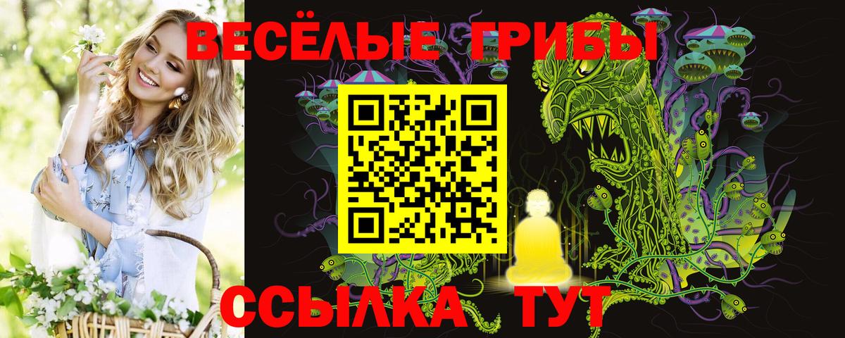 Псилоцибиновые грибы ЛСД  Галлюциногенные грибы мухоморы  Вход с VPN  Гусь-Хрустальный 
